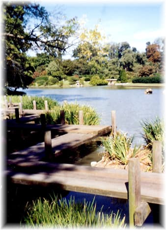 The Japanese Garden - St. Louis Botanical Gardens