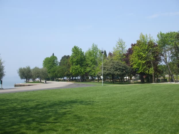 A peaceful park