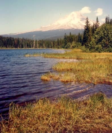 Trillium Lake with Mount Hood in the background 