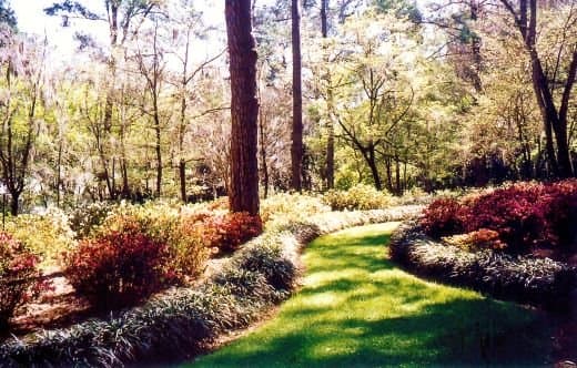 Maclay Gardens