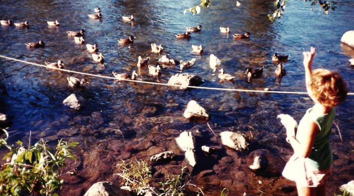 Rogue River &amp; Ducks