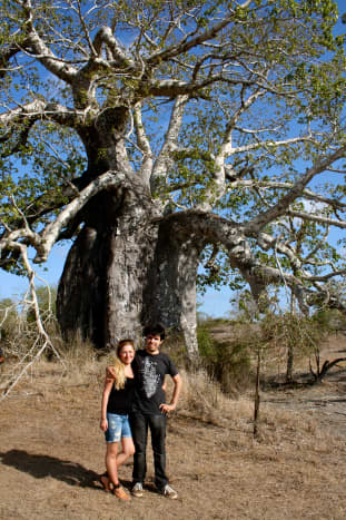 This Imbondeiro tree in Kissama is huge!  Here's the author and her boyfriend underneath it