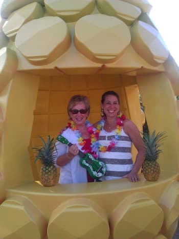 INSULATED BAG - PINEAPPLE CRATE DESIGN - Dole Plantation