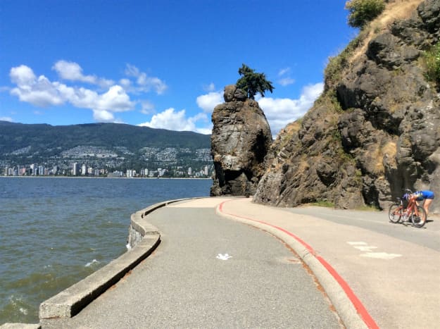 Magnolia Flowers and Glaucous-Winged Gulls in Stanley Park, BC -  WanderWisdom