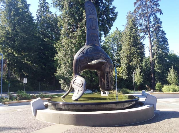 Magnolia Flowers and Glaucous-Winged Gulls in Stanley Park, BC -  WanderWisdom