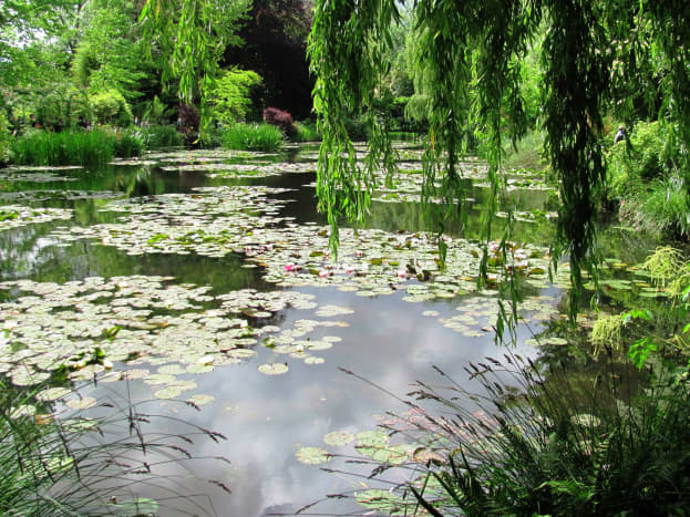 Monet's Japanese water garden features willows, water lilies, and a grove of bamboo.  There are also small bridges and a Japanese bridge.