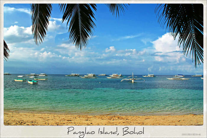 Panglao Island, Bohol boasts some of the best diving spots in the Philippines, with about 250 different species of crustaceans and 2,500 species of mollusks.