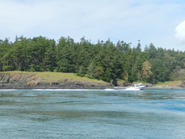 Our companion boat, another small C-Dory, motors near the wooded shore of Fidalgo Island as it approaches Deception Pass on the way back to Cornet Bay.