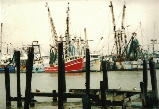 Shrimp Boats in Galveston