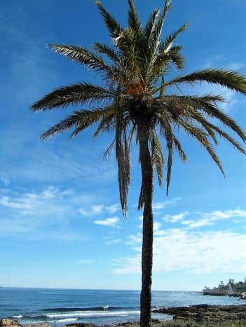 Typical Spanish coastal scene.