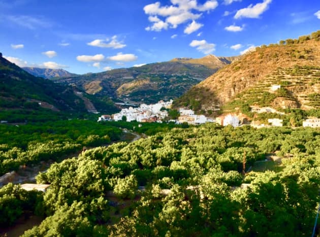 Jete, the heart of  the Valley of Rio Verde. Medlar, figs, mango, custard apple and grapes are some of the varieties which are grown in the valley.