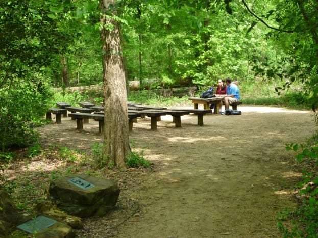 Emmott Circle at the Houston Arboretum 