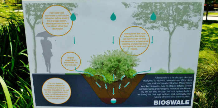 Sign showing how a Bioswale works