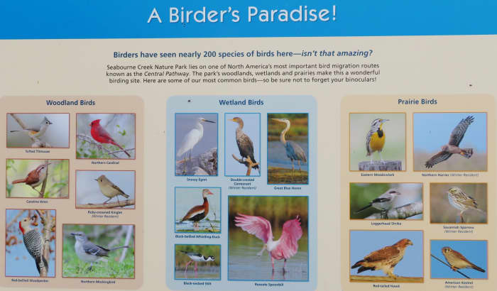 Sign about the birds found here