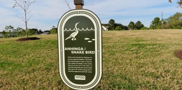 Anhinga / Snake Bird Sign Information