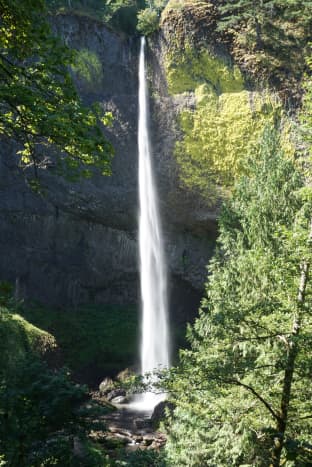 Latourell Falls (250 feet)