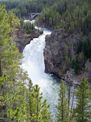 Upper Yellowstone Falls in Yellowstone National Park