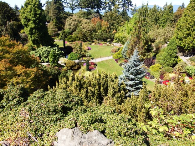 Lovely photos of the quarry plants can be taken above a quarry garden and within it.