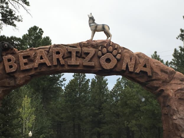 Bearizon in Williams, Arizona is a great drive-through adventure. Don't forget to do the walk-through portion and stop by the gift shop, too. Your dog can do the drive-through portion of the zoo. They are not allowed in the walk-through.