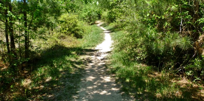  Trail
