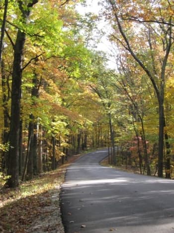 A look around Brown County State Park: the road to Abe Martin Lodge