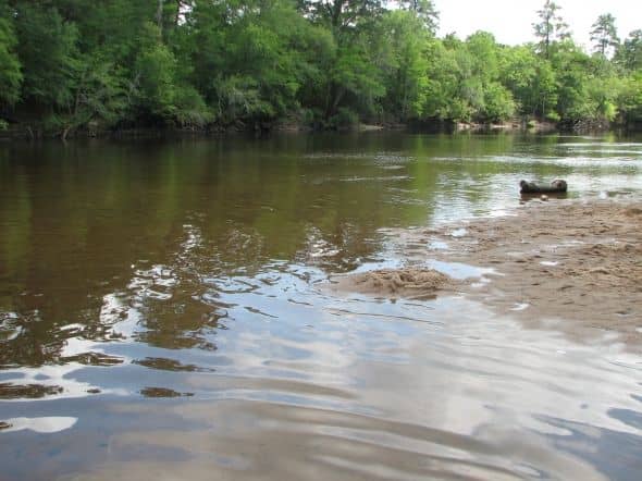 Floating the Edisto River! - SkyAboveUs