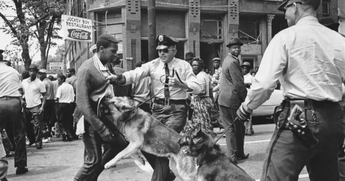 A young man braves a vicious police dog during the Civil Rights Movement of the 1960s.