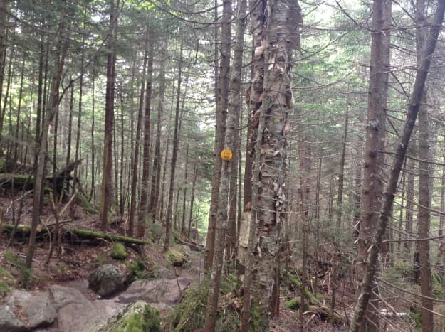 Yellow trail markers on the terrain 