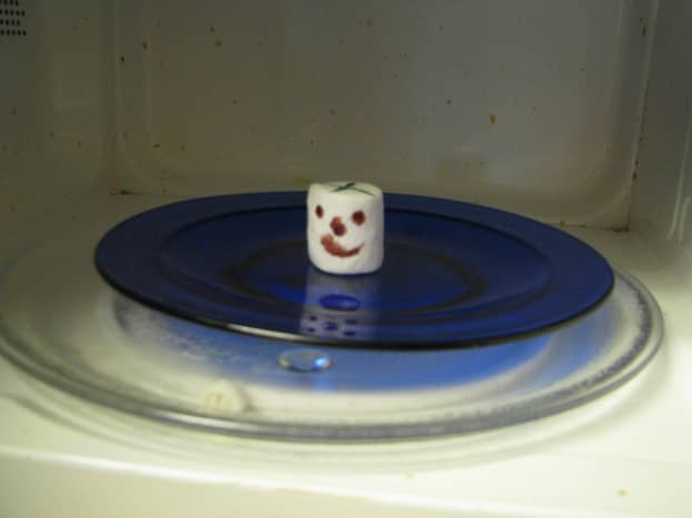 Marshmallow Face on a plate. He doesn't know what is going to hit him.