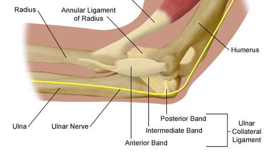 How Many MLB Players Have Had Tommy John Surgery? - HowTheyPlay