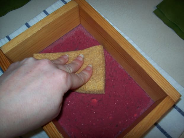 Step 7: Use the sponge on the screen to remove excess water.