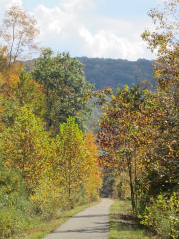 Sandy Creek Trail in fall