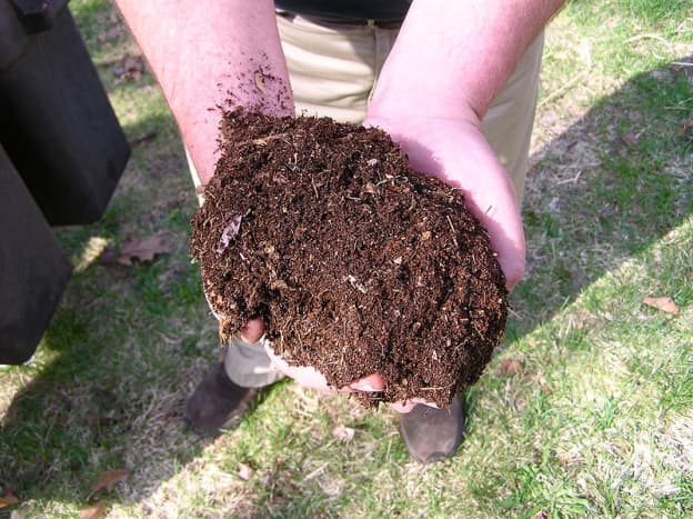 In the above photo is compost that has went through the process of breaking down. When it is this mature you can apply it around your vegetable plants. 