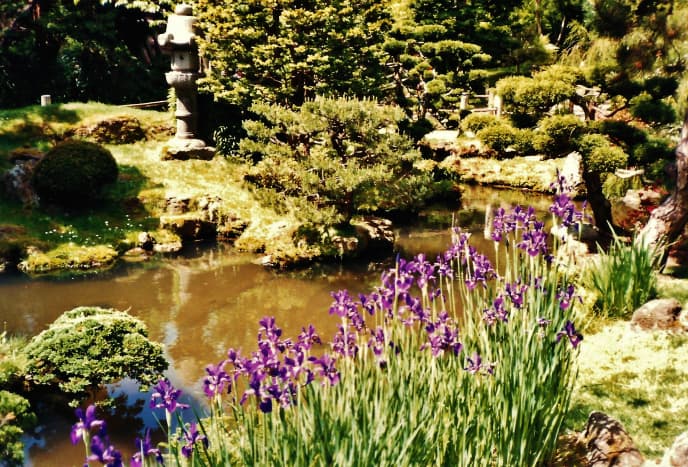 golden-gate-park-japanese-tea-garden-museums-something-for-everyone