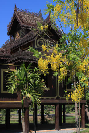 Wat Chong Kham - a traditional teak built dwelling and ceremonial centre for monks from the northern regions of Thailand