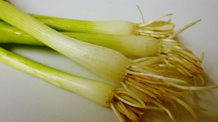 Green table onions