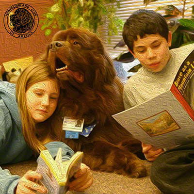 Therapy Dogs work in many settings