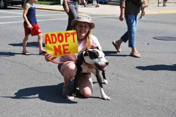 Official events start with the "Dog Parade" here a volunteer is walking a dog in need of an owner.