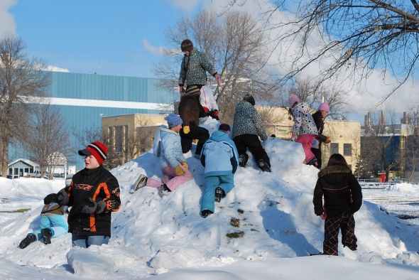 Ice Sculptures-Smokey Bear park