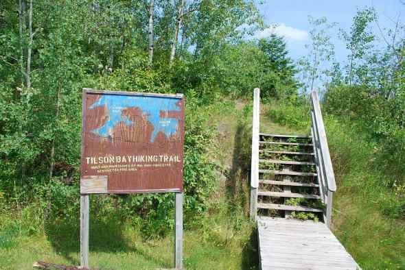 Tilson Bay hiking trail