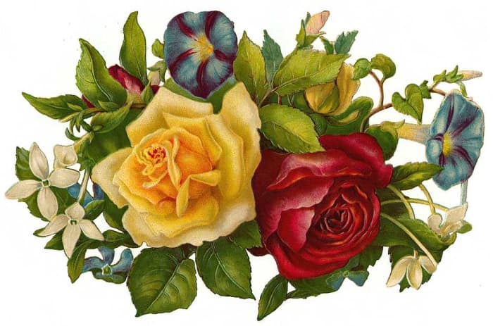 Victorian flowers: yellow and red rose and pansies