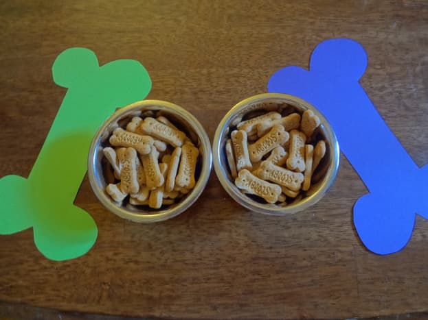 Scooby snacks in doggie bowls