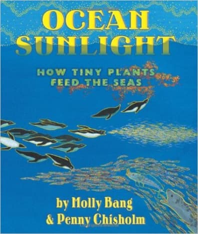 Ocean Sunlight: How Tiny Plants Feed the Seas by Molly Bang  - Images are from amazon.com unless otherwise noted.