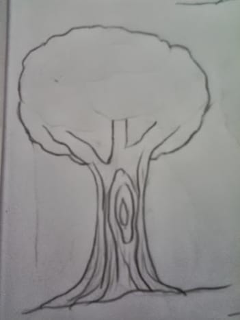 banyan tree drawing for kids