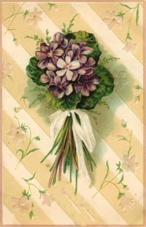 Vintage Mother's Day card: violets nosegay with white ribbon