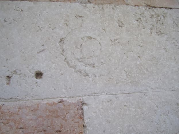 An ammonite fossil on the wall of an old church in Verona