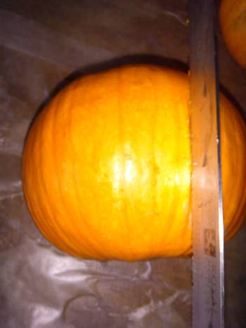 processing-and-cooking-fresh-pumpkin-for-pumpkin-pie-or-soup-recipes-an-illustrated-guide