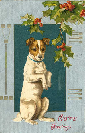 Vintage begging dog Christmas card
