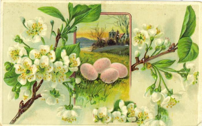 Easter flowers: Vintage Easter card with Easter eggs and white flowers on tree branches