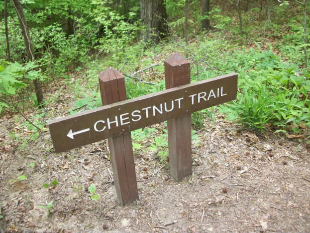 The Chestnut Trail at McDowell Nature Preserve, Charlotte, NC.